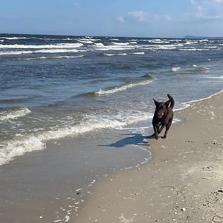 Sommergarten 37 C Usedom Daire *